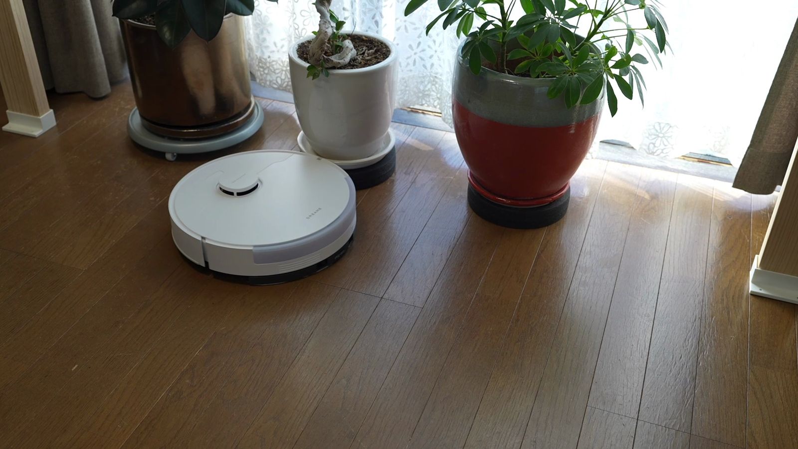 窓際の観葉植物の横、日の当たる床の上のロボット掃除機