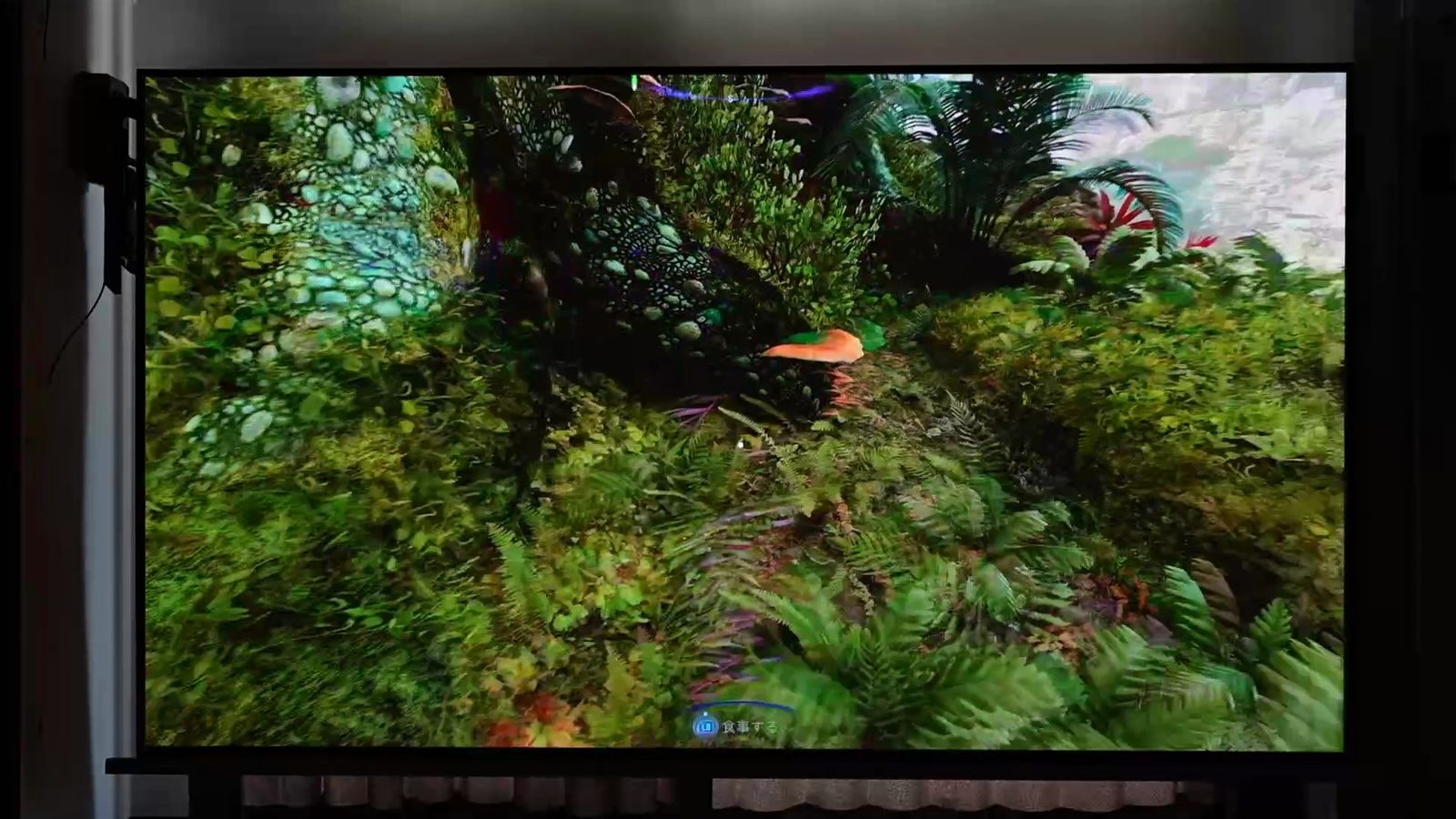 4K表示でプレイしているゲーム画面