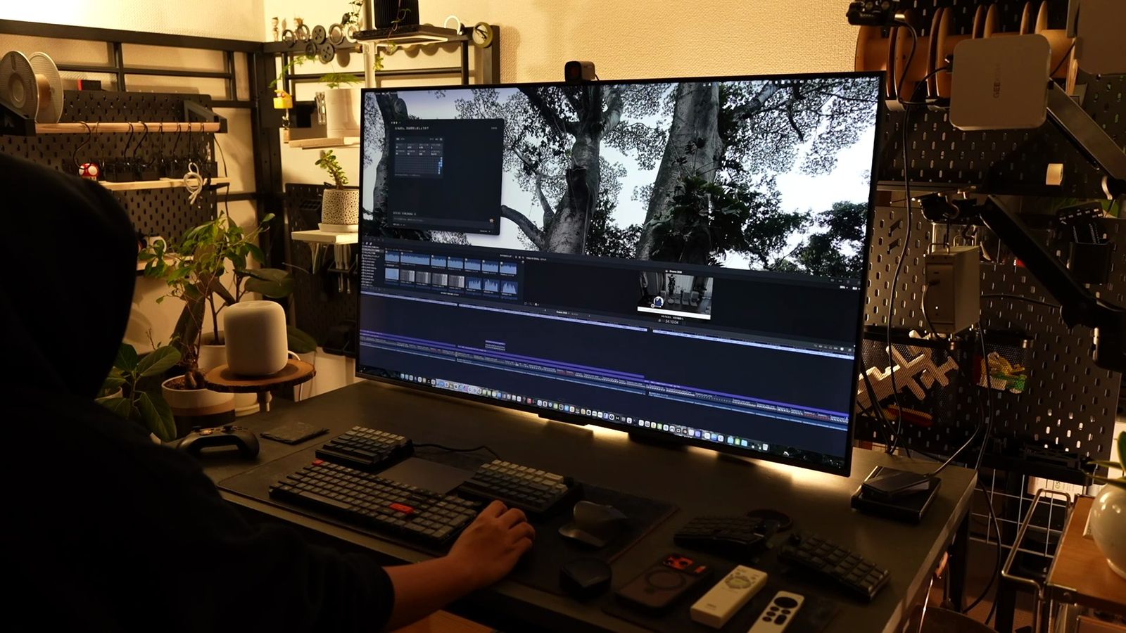 55型テレビをPCモニターとして使い、動画編集ソフトのタイムラインと白い樹木のプレビューを表示したデスク。手前にキーボードが並び、右手がマウスを操作している