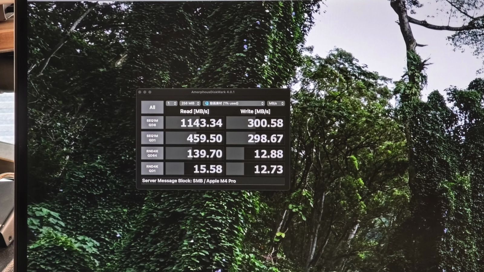 Mac(Thunderbolt 10GbEアダプター経由)のベンチマーク実測。読み込み1143MB/s