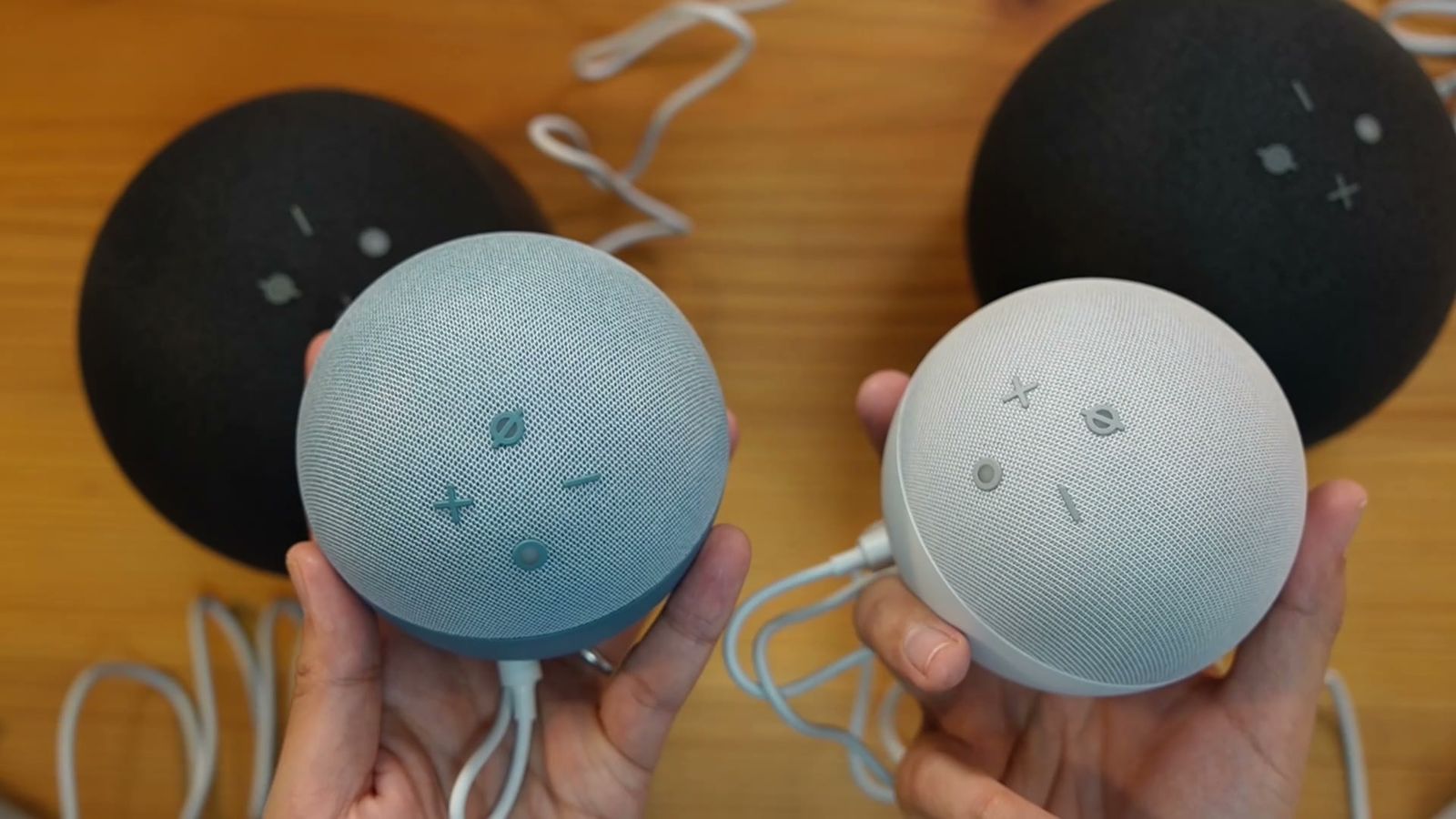 両手に1つずつ持った、青とグレーの2台のEcho Dot