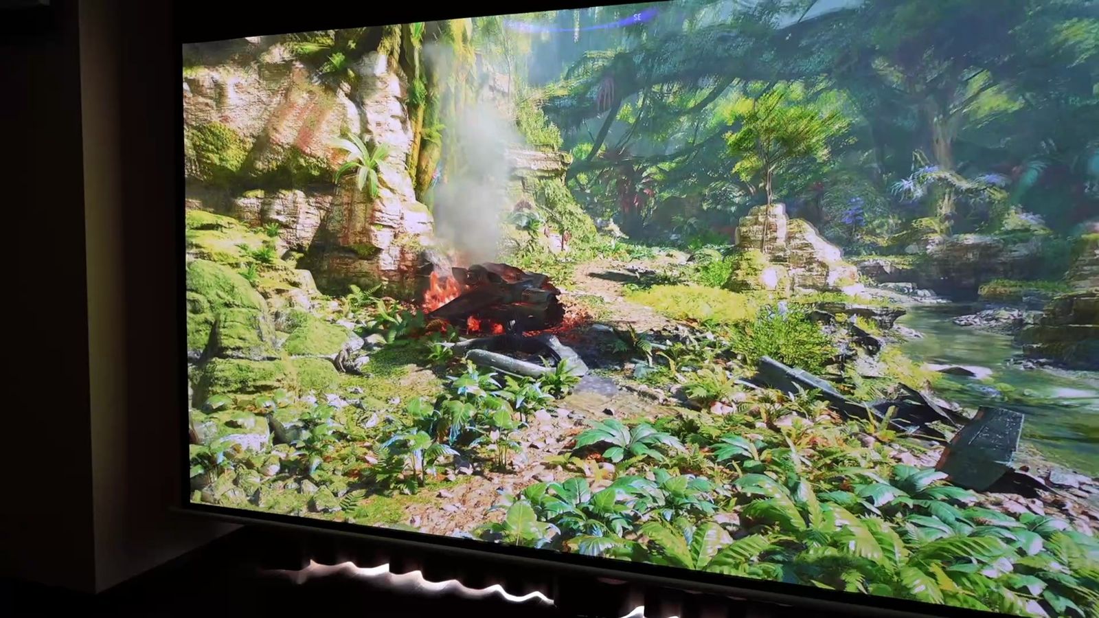 暗い部屋でマットスクリーンに投影した森のゲーム映像