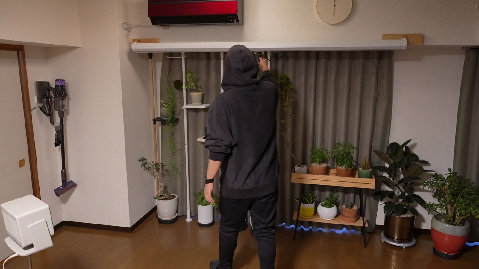 窓際の観葉植物コーナーに下ろしたスクリーン