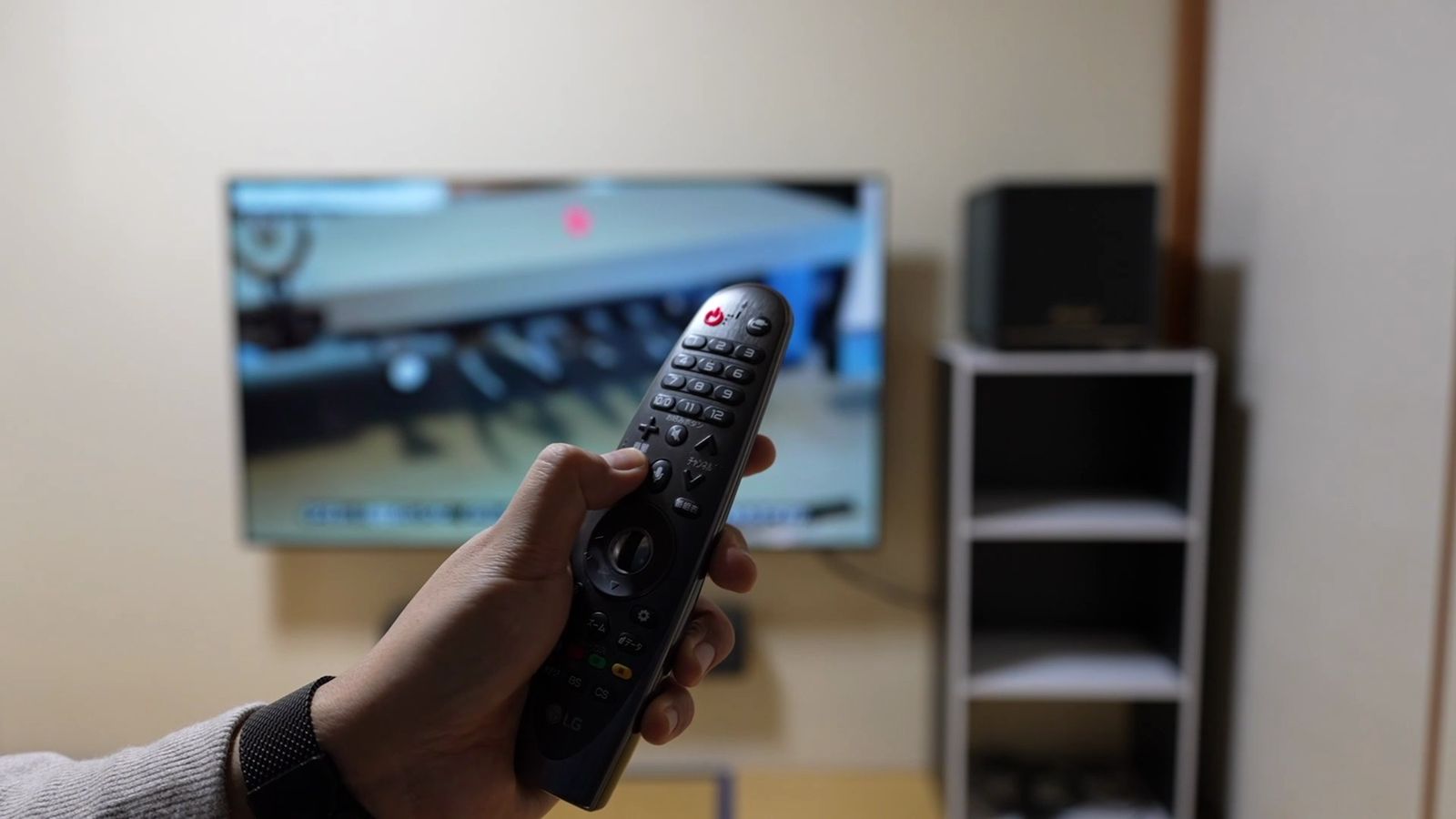 テレビのリモコンを手に持っているところ