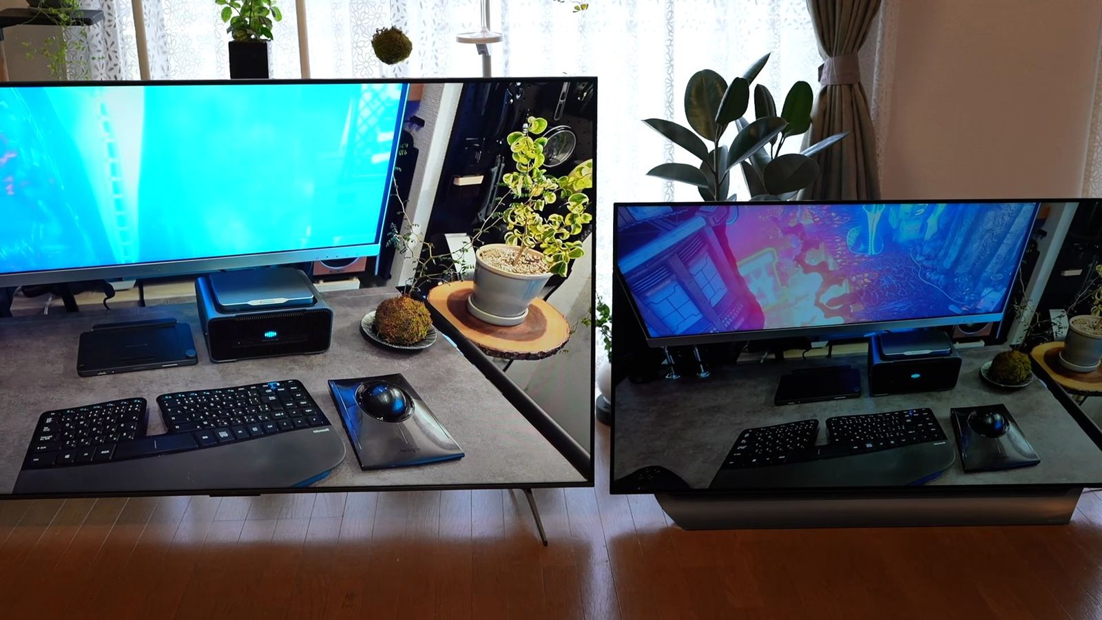 明るい部屋で、左にC6K、右に有機ELテレビを並べて同じ映像を映したところ