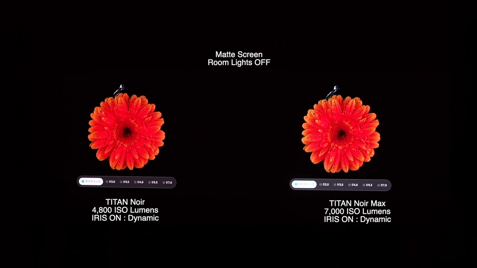 左：TITAN Noir／右：TITAN Noir Max｜アイリスオン（ダイナミック）・マットスクリーン・照明オフ