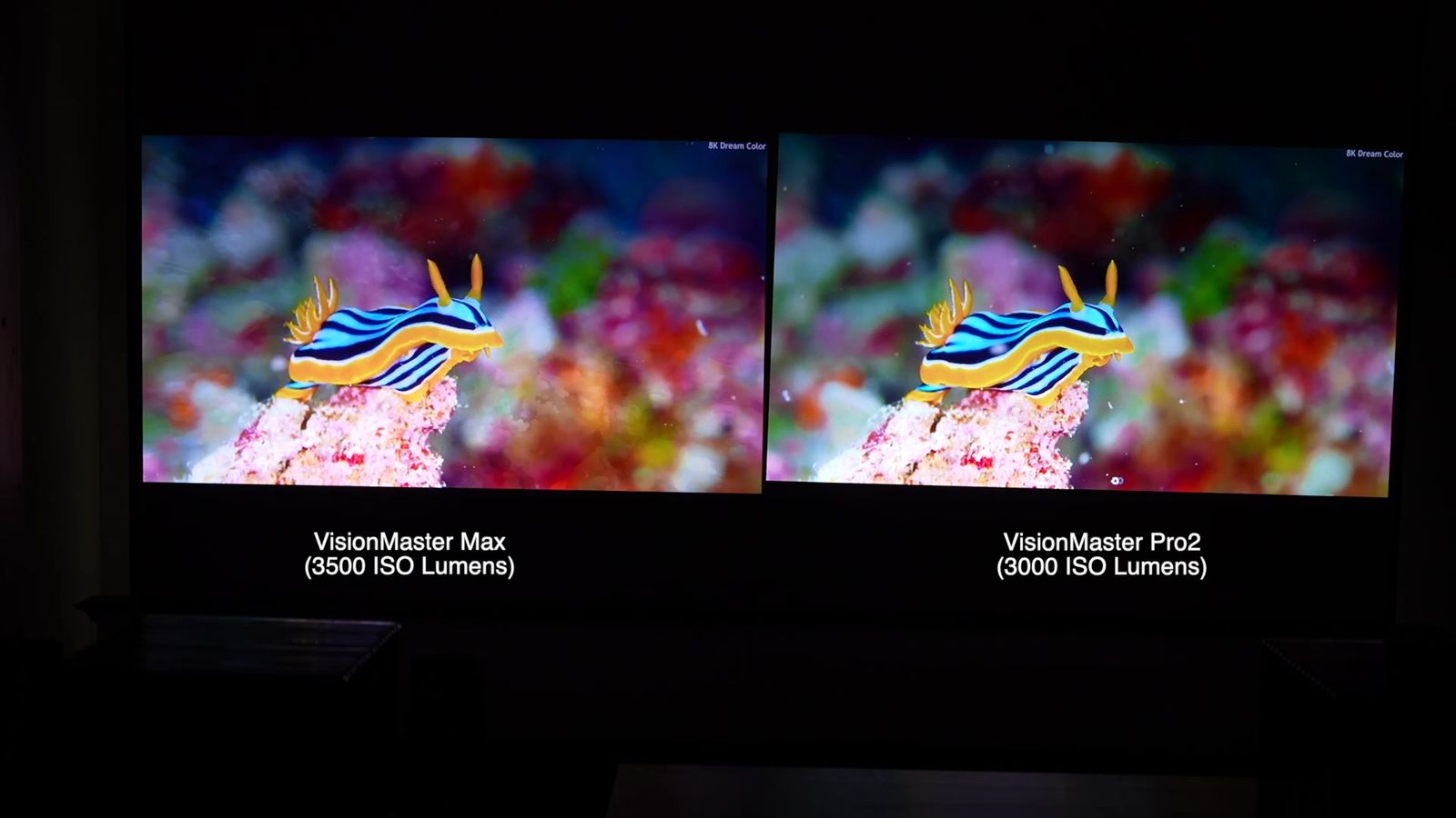 EBLオフのVisionMaster MaxとVisionMaster Pro2を左右に並べて投影