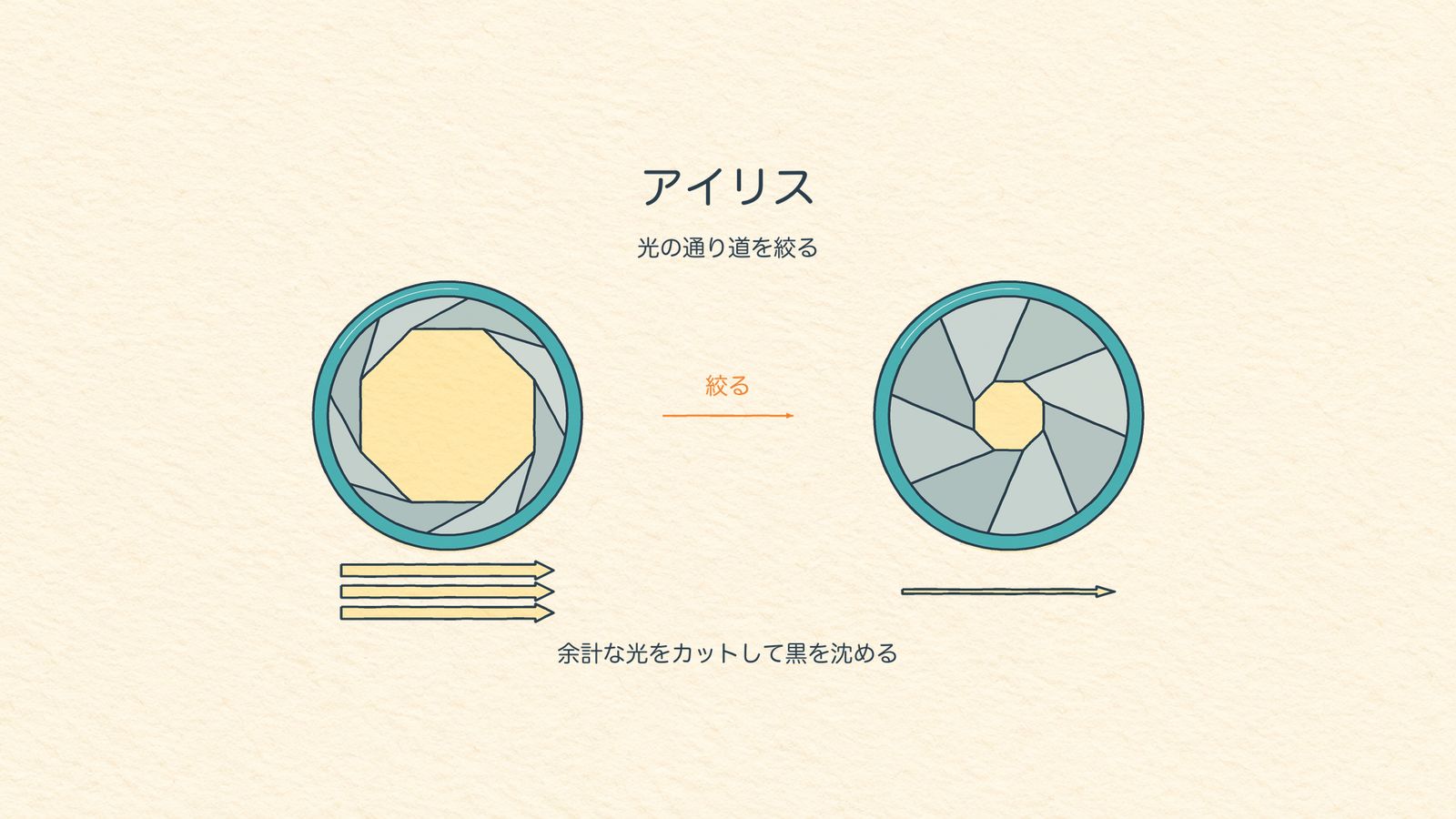 アイリス（物理的な絞り）の仕組みの図解