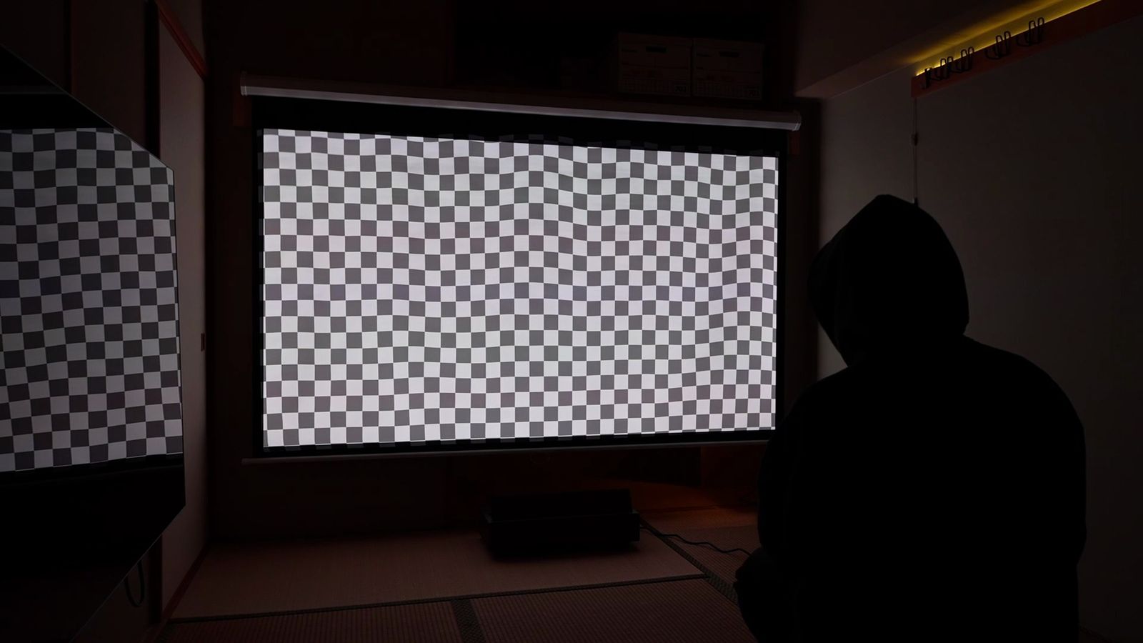 吊り下げスクリーンにテストパターンを投影したところ